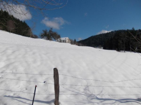Charming holiday home near the ski slopes